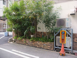 ビフォアー